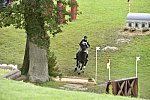 WEG1-Eventing-8-30-14-0008829-KimberlySeverson-FernhillFearless-USA-DDeRosaPhoto