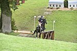 WEG1-Eventing-8-30-14-0008837-KimberlySeverson-FernhillFearless-USA-DDeRosaPhoto