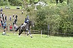 WEG1-Eventing-8-30-14-0008854-KimberlySeverson-FernhillFearless-USA-DDeRosaPhoto