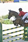 WEG-EventingSJ-8-31-14-0001630-LynnSymansky-Donner-USA-DDeRosaPhoto