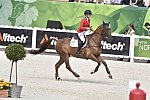 WEG-EventingSJ-8-31-14-0001881-SineadHalpin-ManoirDeCarneville-USA-DDeRosaPhoto