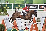 WEG-EventingSJ-8-31-14-0001895-SineadHalpin-ManoirDeCarneville-USA-DDeRosaPhoto