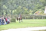 WEG1-Eventing-8-30-14-0007824-SineadHalpin-ManoirDeCarneville-USA-DDeRosaPhoto