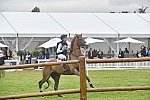WEG1-Eventing-8-30-14-0007879-SineadHalpin-ManoirDeCarneville-USA-DDeRosaPhoto