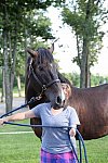 WEG-Para-8-10-14-3858-SusanTreabess-DDeRosaPhoto