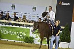 WEG-Reining-8-30-14-0001017-DDeRosaPhoto