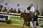WEG-Reining-8-30-14-0001020-DDeRosaPhoto