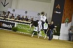WEG-Reining-8-30-14-0001022-DDeRosaPhoto