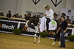 WEG-Reining-8-30-14-0001026-DDeRosaPhoto