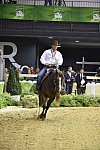 WEG-Reining-8-30-14-0001225-DDeRosaPhoto