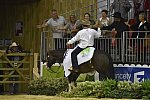 WEG-Reining-8-30-14-0001258-DDeRosaPhoto