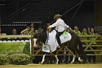 WEG-Reining-8-30-14-0001260-DDeRosaPhoto