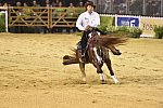 WEG-Reining-8-30-14-0000820-AndreaFappani-CustomCashAdvance-USA-DDeRosaPhoto