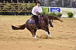 WEG-Reining-8-30-14-0000823-AndreaFappani-CustomCashAdvance-USA-DDeRosaPhoto