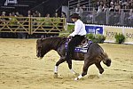 WEG-Reining-8-30-14-0000828-AndreaFappani-CustomCashAdvance-USA-DDeRosaPhoto