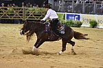 WEG-Reining-8-30-14-0000839-AndreaFappani-CustomCashAdvance-USA-DDeRosaPhoto