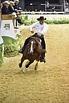 WEG-Reining-8-30-14-0000862-AndreaFappani-CustomCashAdvance-USA-DDeRosaPhoto