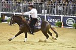 WEG-Reining-8-30-14-0000867-AndreaFappani-CustomCashAdvance-USA-DDeRosaPhoto