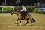 WEG-Reining-8-30-14-0000522-JordanLarson-HFMobster-USA-DDeRosaPhoto