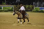 WEG-Reining-8-30-14-0000526-JordanLarson-HFMobster-USA-DDeRosaPhoto
