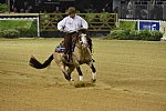 WEG-Reining-8-30-14-0000530-JordanLarson-HFMobster-USA-DDeRosaPhoto