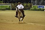 WEG-Reining-8-30-14-0000531-JordanLarson-HFMobster-USA-DDeRosaPhoto