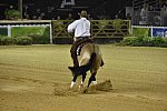 WEG-Reining-8-30-14-0000533-JordanLarson-HFMobster-USA-DDeRosaPhoto