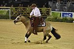 WEG-Reining-8-30-14-0000535-JordanLarson-HFMobster-USA-DDeRosaPhoto