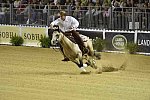 WEG-Reining-8-30-14-0000548-JordanLarson-HFMobster-USA-DDeRosaPhoto