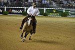 WEG-Reining-8-30-14-0000555-JordanLarson-HFMobster-USA-DDeRosaPhoto