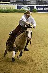 WEG-Reining-8-30-14-0000563-JordanLarson-HFMobster-USA-DDeRosaPhoto