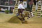 WEG-Reining-8-30-14-0000578-JordanLarson-HFMobster-USA-DDeRosaPhoto