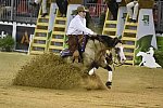 WEG-Reining-8-30-14-0000579-JordanLarson-HFMobster-USA-DDeRosaPhoto