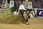 WEG-Reining-8-30-14-0000581-JordanLarson-HFMobster-USA-DDeRosaPhoto