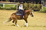 WEG-Reining-8-30-14-0000656-MandyMcCutcheon-YellowJersey-USA-DDeRosaPhoto