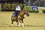 WEG-Reining-8-30-14-0000663-MandyMcCutcheon-YellowJersey-USA-DDeRosaPhoto