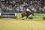 WEG-Reining-8-30-14-0000672-MandyMcCutcheon-YellowJersey-USA-DDeRosaPhoto