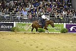 WEG-Reining-8-30-14-0000673-MandyMcCutcheon-YellowJersey-USA-DDeRosaPhoto