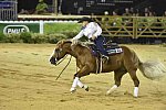 WEG-Reining-8-30-14-0000677-MandyMcCutcheon-YellowJersey-USA-DDeRosaPhoto