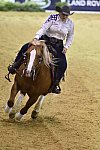 WEG-Reining-8-30-14-0000693-MandyMcCutcheon-YellowJersey-USA-DDeRosaPhoto
