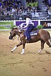 WEG-Reining-8-30-14-0000696-MandyMcCutcheon-YellowJersey-USA-DDeRosaPhoto