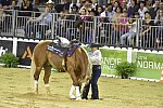 WEG-Reining-8-30-14-0000730-MandyMcCutcheon-YellowJersey-USA-DDeRosaPhoto