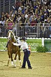 WEG-Reining-8-30-14-0000734-MandyMcCutcheon-YellowJersey-USA-DDeRosaPhoto