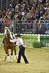 WEG-Reining-8-30-14-0000735-MandyMcCutcheon-YellowJersey-USA-DDeRosaPhoto