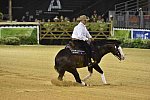 WEG-Reining-8-30-14-0000913ShawnFlarida-SpooksGottaWhiz-USA-DDeRosaPhoto