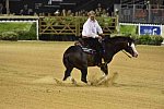 WEG-Reining-8-30-14-0000916ShawnFlarida-SpooksGottaWhiz-USA-DDeRosaPhoto