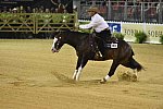 WEG-Reining-8-30-14-0000930ShawnFlarida-SpooksGottaWhiz-USA-DDeRosaPhoto