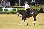 WEG-Reining-8-30-14-0000942ShawnFlarida-SpooksGottaWhiz-USA-DDeRosaPhoto