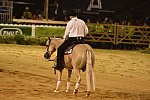 WEG-Reining-8-30-14-0000447-TomMcCutcheon-DunGetANicadual-USA-DDeRosaPhoto