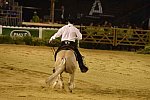 WEG-Reining-8-30-14-0000452-TomMcCutcheon-DunGetANicadual-USA-DDeRosaPhoto